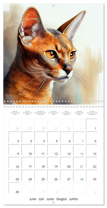 Cat Breeds in Watercolor (CALVENDO Monthly Calendar 2025)