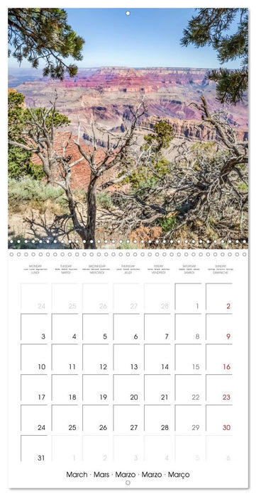 US HIGHLIGHTS Urban views and scenery (CALVENDO Monthly Calendar 2025)