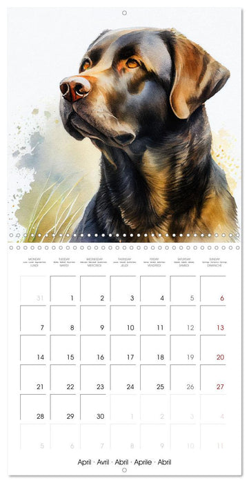 Artistic Dog Breeds (CALVENDO Monthly Calendar 2025)