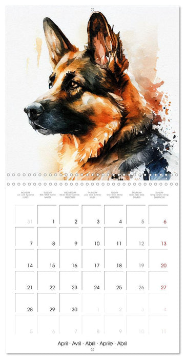 Dog Breeds in Watercolor (CALVENDO Monthly Calendar 2025)