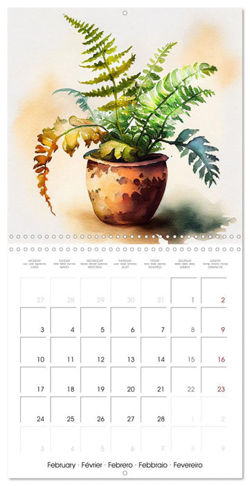 The Art of House Plants (CALVENDO Monthly Calendar 2025)