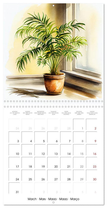 The Art of House Plants (CALVENDO Monthly Calendar 2025)