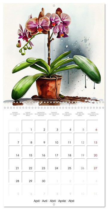 The Art of House Plants (CALVENDO Monthly Calendar 2025)