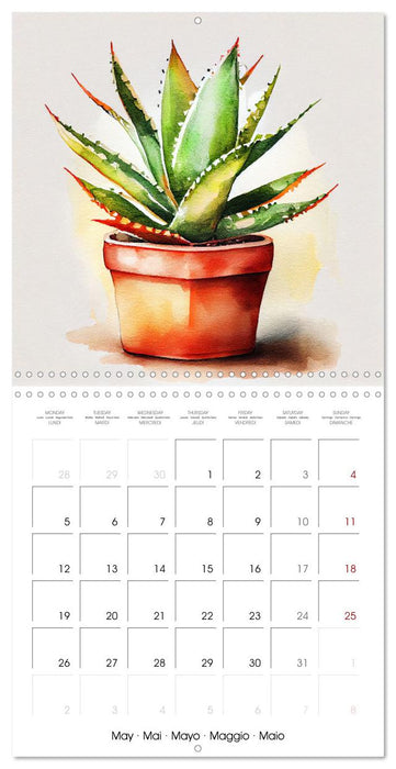 The Art of House Plants (CALVENDO Monthly Calendar 2025)