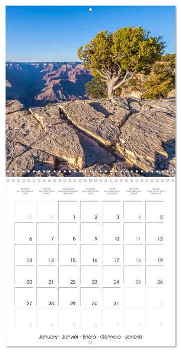 GRAND CANYON Magnificent views (CALVENDO Monthly Calendar 2025)