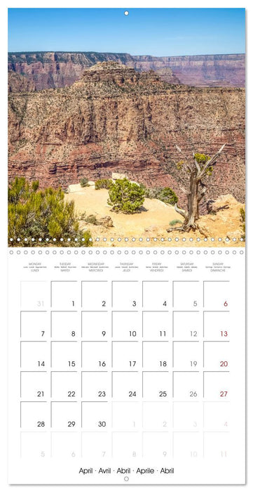 GRAND CANYON Magnificent views (CALVENDO Monthly Calendar 2025)