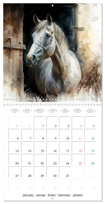 Regard sur la ferme (CALVENDO Calendrier mensuel 2025)