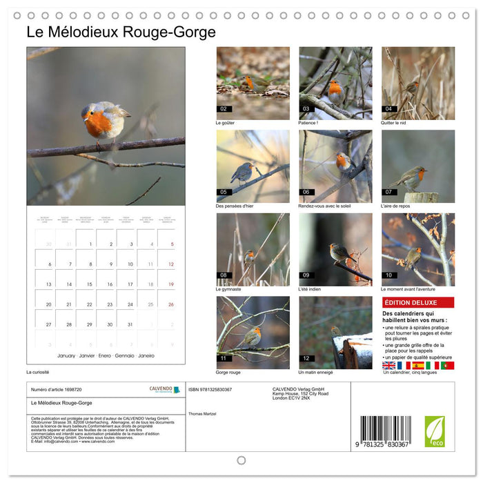 Le Mélodieux Rouge-Gorge (CALVENDO Calendrier mensuel 2025)