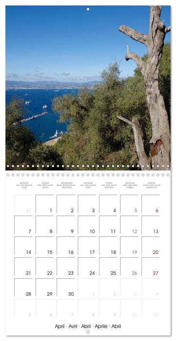 Gibraltar - Where Britain borders Spain (CALVENDO Monthly Calendar 2025)