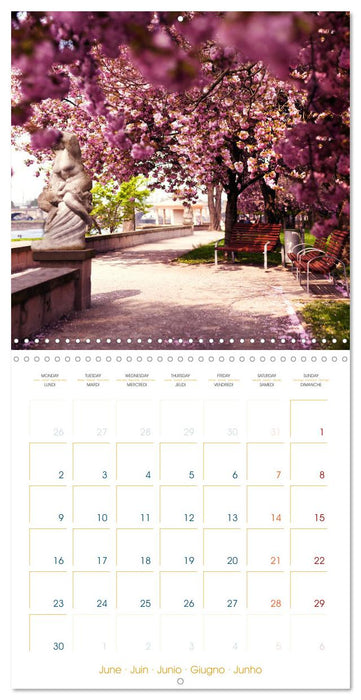 Romantic Dresden (CALVENDO Monthly Calendar 2025)