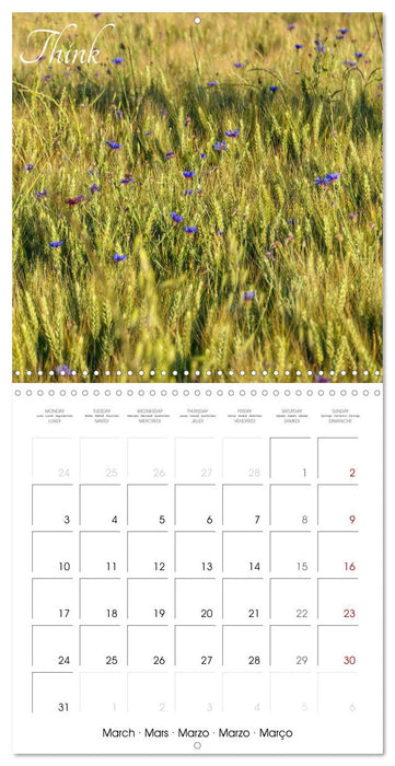 Relaxing Nature (CALVENDO Monthly Calendar 2025)