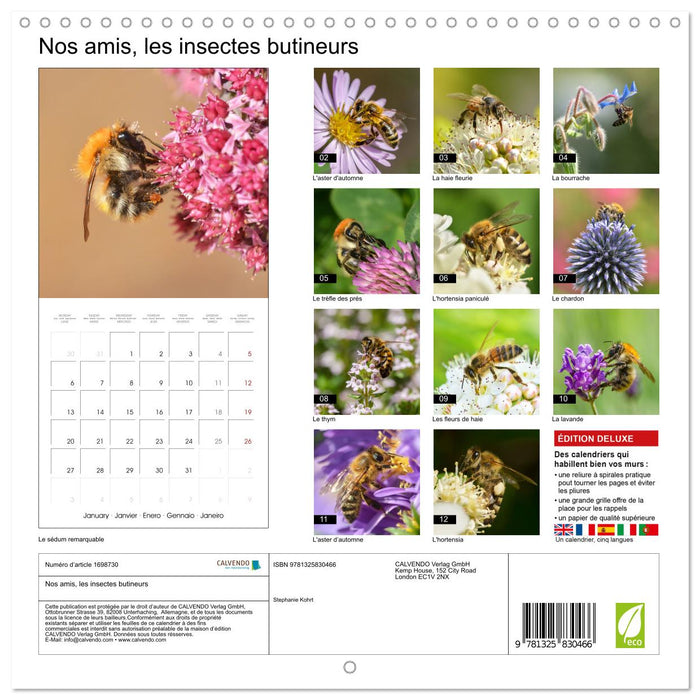 Nos amis, les insectes butineurs (CALVENDO Calendrier mensuel 2025)