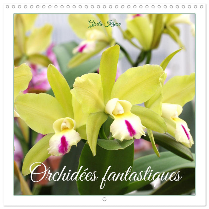 Orchidées fantastiques (CALVENDO Calendrier mensuel 2025)