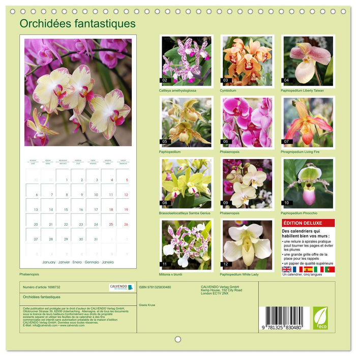 Orchidées fantastiques (CALVENDO Calendrier mensuel 2025)