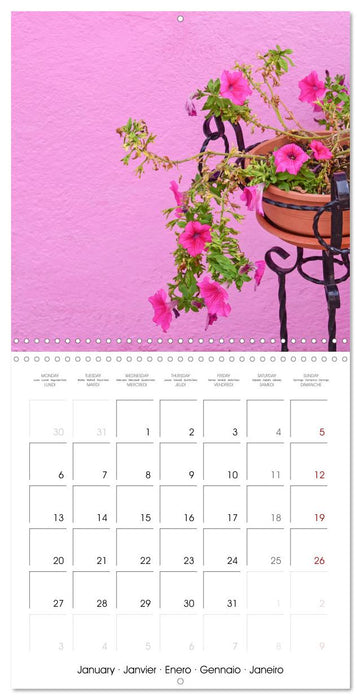 Leaves and flowers of Burano (CALVENDO Monthly Calendar 2025)