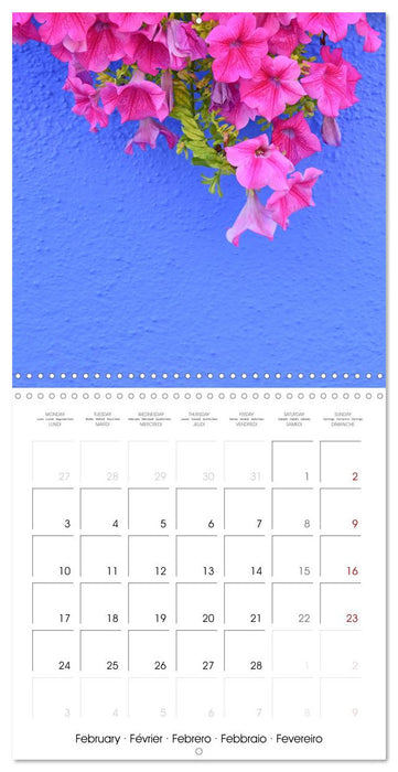 Leaves and flowers of Burano (CALVENDO Monthly Calendar 2025)