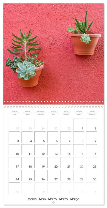 Leaves and flowers of Burano (CALVENDO Monthly Calendar 2025)