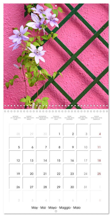 Leaves and flowers of Burano (CALVENDO Monthly Calendar 2025)