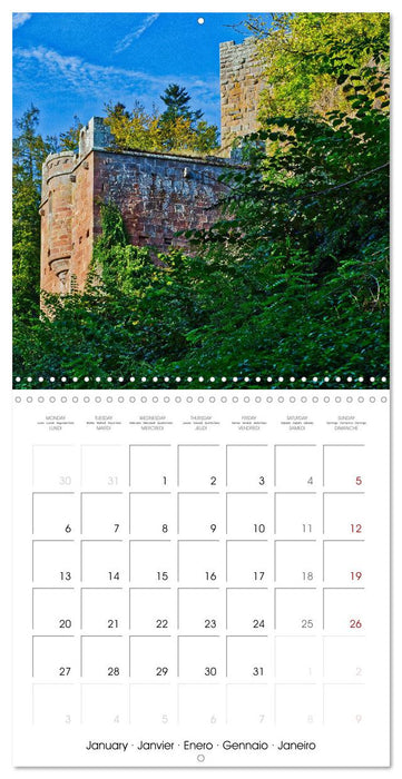 Wildenberg Castle (CALVENDO Monthly Calendar 2025)