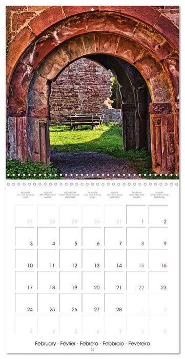 Wildenberg Castle (CALVENDO Monthly Calendar 2025)