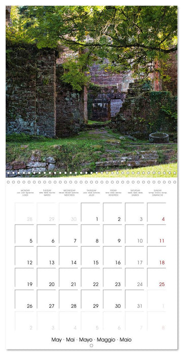 Wildenberg Castle (CALVENDO Monthly Calendar 2025)