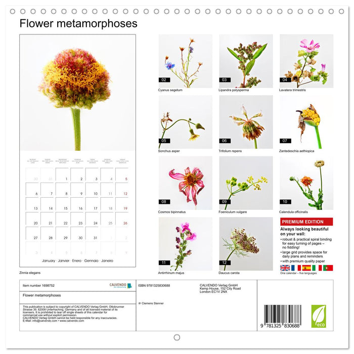 Flower metamorphoses (CALVENDO Monthly Calendar 2025)