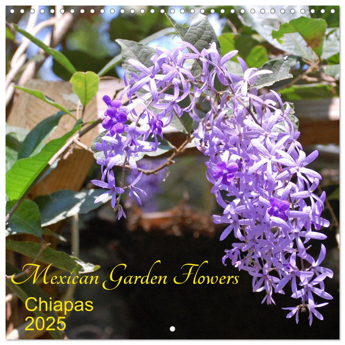 Mexican Garden Flowers - Chiapas (CALVENDO Monthly Calendar 2025)