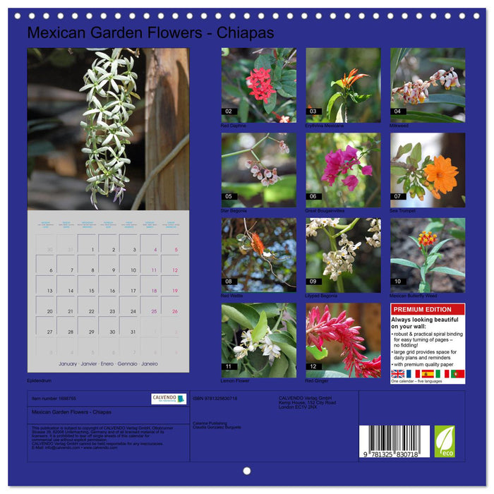 Mexican Garden Flowers - Chiapas (CALVENDO Monthly Calendar 2025)