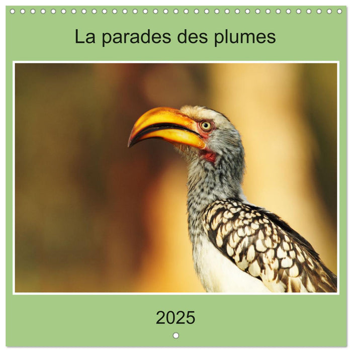 La parade des plumes (CALVENDO Calendrier mensuel 2025)