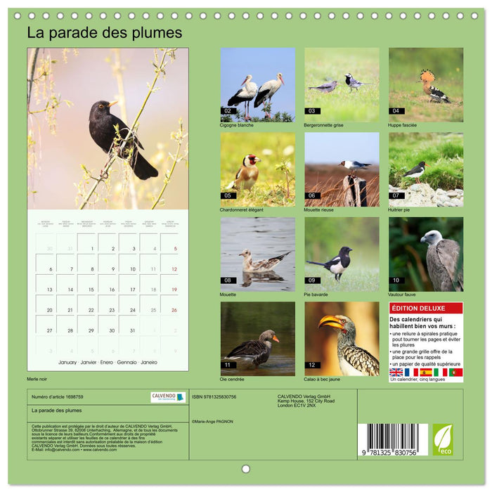 La parade des plumes (CALVENDO Calendrier mensuel 2025)