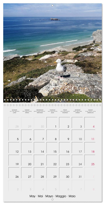 Balade en Finistère (CALVENDO Calendrier mensuel 2025)