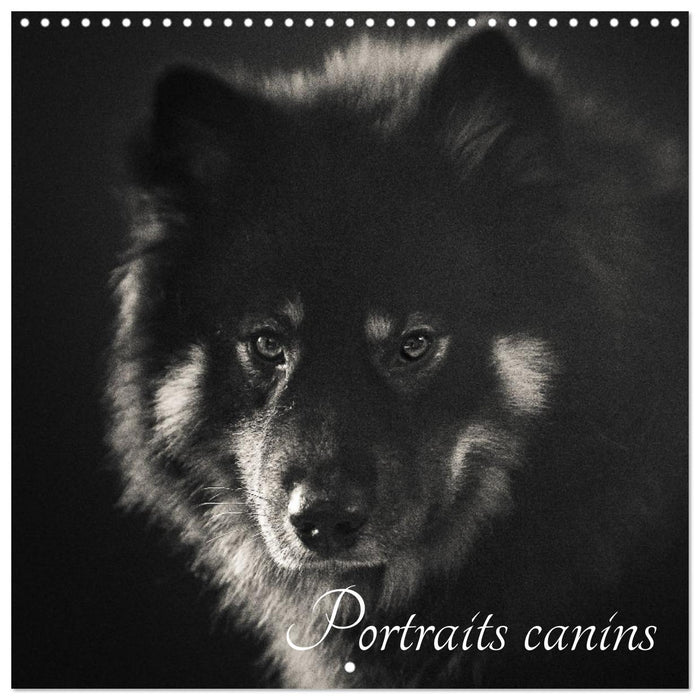 Portraits canins (CALVENDO Calendrier mensuel 2025)