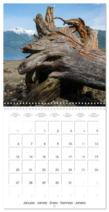 British Columbia - Canadian Coastline (CALVENDO Monthly Calendar 2025)