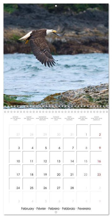 British Columbia - Canadian Coastline (CALVENDO Monthly Calendar 2025)