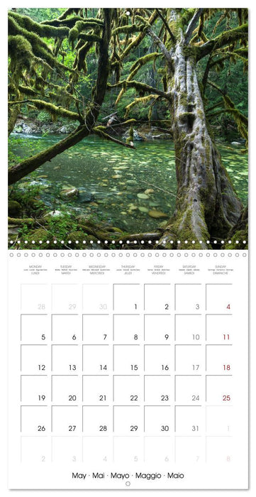 Vancouver Island - Mystical Nature (CALVENDO Monthly Calendar 2025)