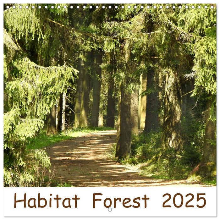 Habitat Forest (CALVENDO Monthly Calendar 2025)