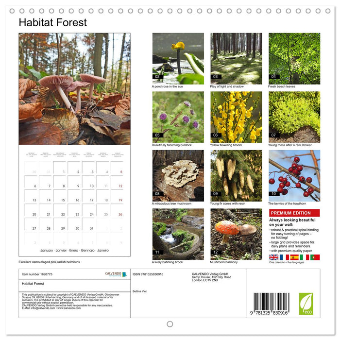 Habitat Forest (CALVENDO Monthly Calendar 2025)