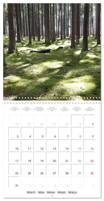 Habitat Forest (CALVENDO Monthly Calendar 2025)