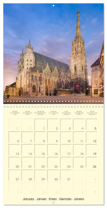 Beautiful Vienna (CALVENDO Monthly Calendar 2025)