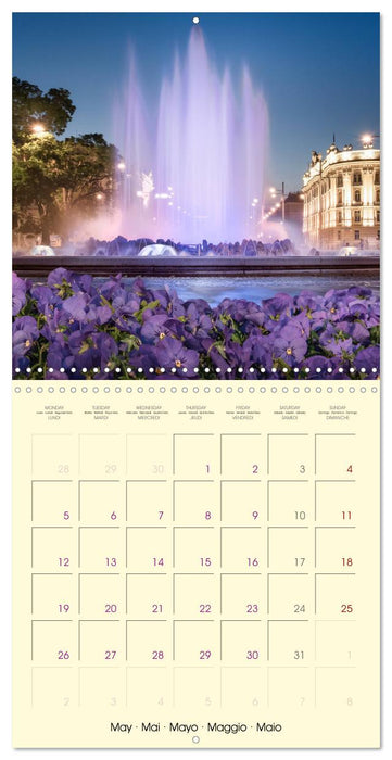 Beautiful Vienna (CALVENDO Monthly Calendar 2025)