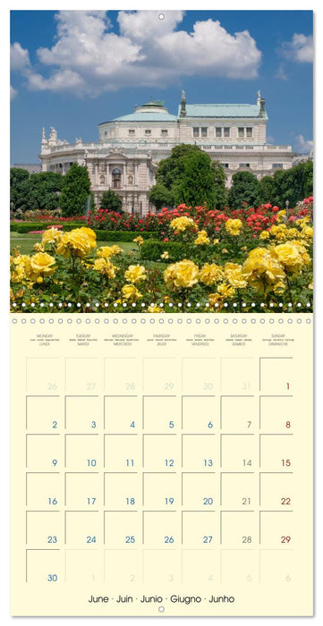 Beautiful Vienna (CALVENDO Monthly Calendar 2025)