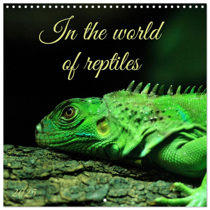 In the world of reptiles (CALVENDO Monthly Calendar 2025)