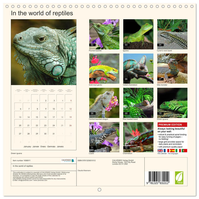 In the world of reptiles (CALVENDO Monthly Calendar 2025)