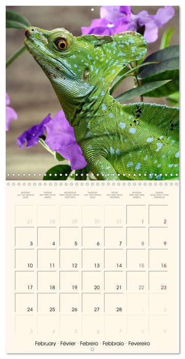 In the world of reptiles (CALVENDO Monthly Calendar 2025)