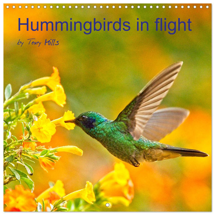 Hummingbirds in flight (CALVENDO Monthly Calendar 2025)