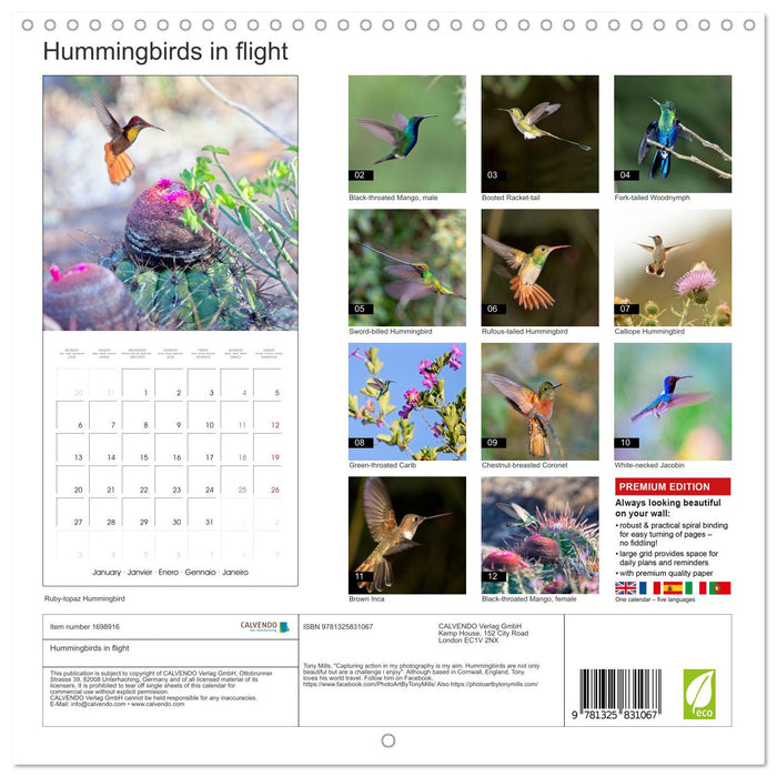 Hummingbirds in flight (CALVENDO Monthly Calendar 2025)