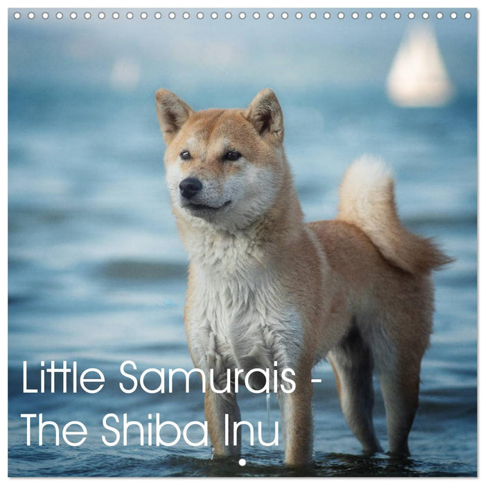 Little Samurais - The Shiba Inu (CALVENDO Monthly Calendar 2025)