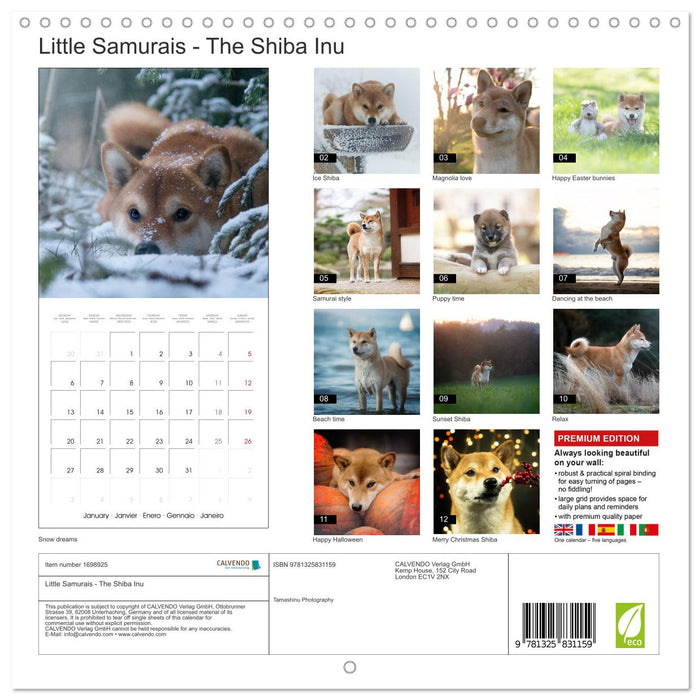 Little Samurais - The Shiba Inu (CALVENDO Monthly Calendar 2025)