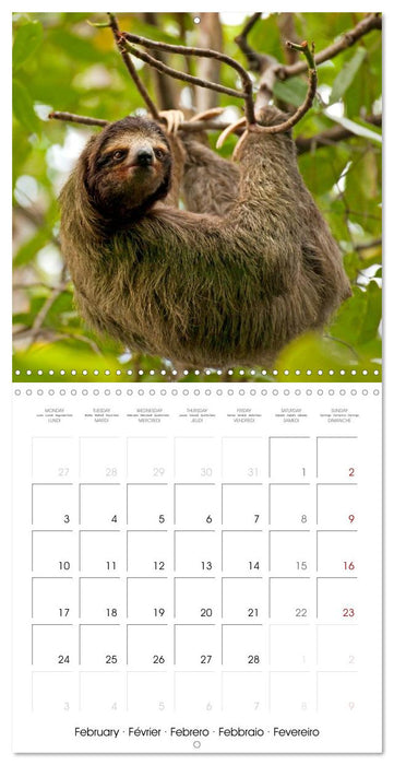 Central America - Costa Rica (CALVENDO Monthly Calendar 2025)