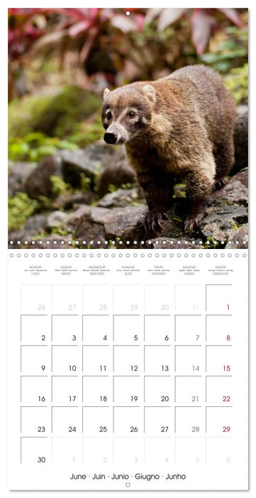 Central America - Costa Rica (CALVENDO Monthly Calendar 2025)